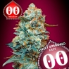 Sweet Somango Fast