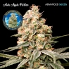 Auto Apple Fritter