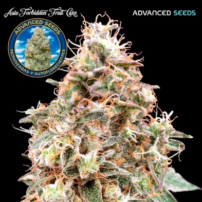 Auto Forbidden Fruit Cake