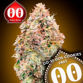Do-Si-Dos Cookies Fast