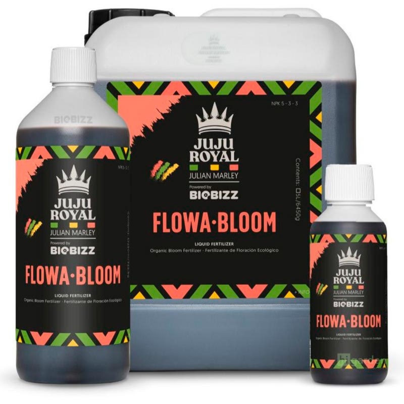 Flowa Bloom