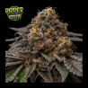 Break Pad Breath  de Ripper Seeds