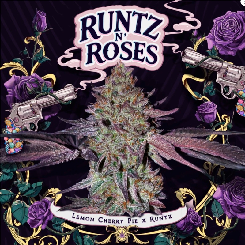 Imagen de Runtz 'N Roses