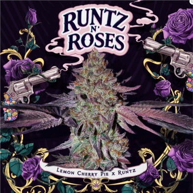 Imagen de Runtz 'N Roses