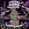 Imagen de Runtz 'N Roses