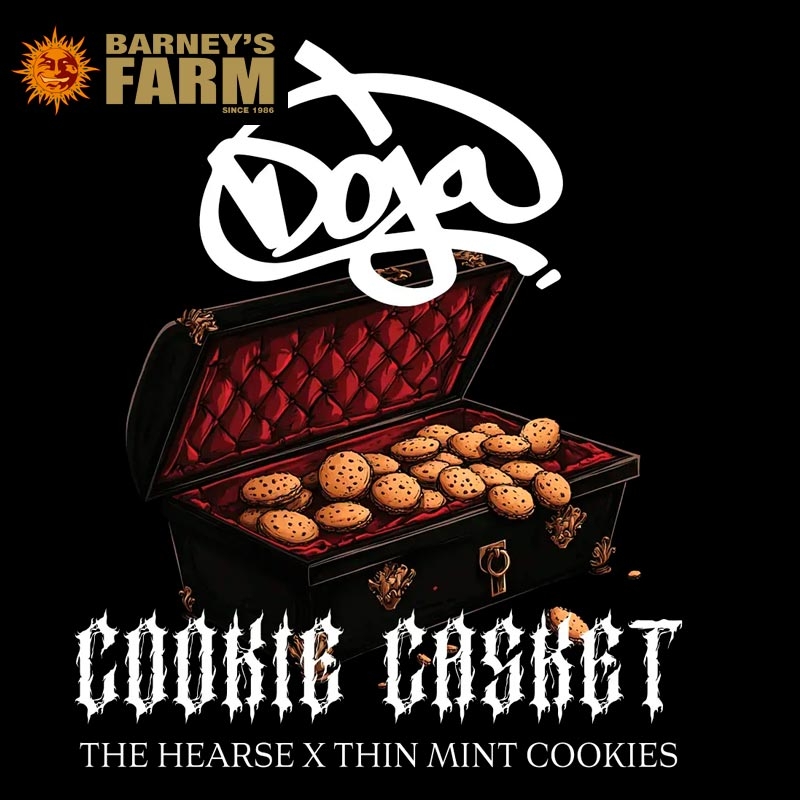 Cookie Casket