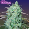 Imagen de Bay Haze