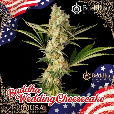 Imagen Buddha Wedding Cheesecake