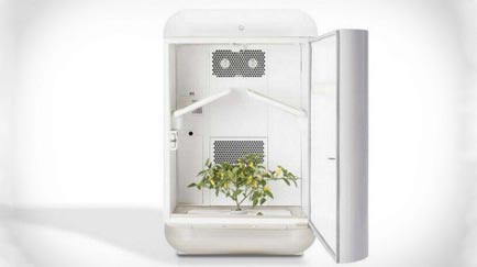 Seedo, el avance tecnológico más sorprendente para el cultivo de cannabis.