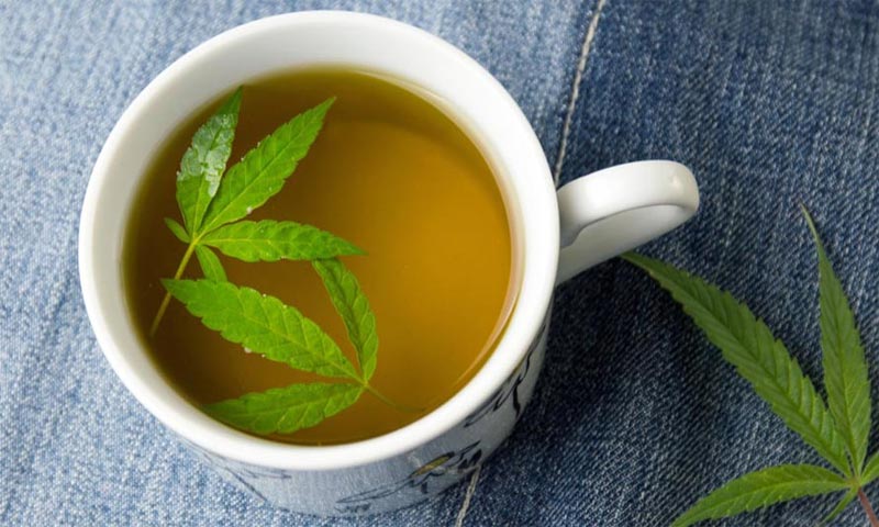 infusion de marihuana