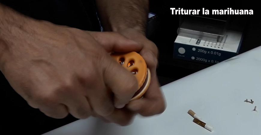 triturar la marihuana