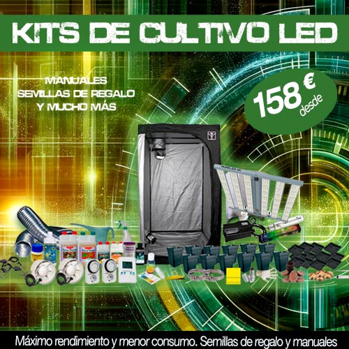 compra aquí tus kits de cultivo led