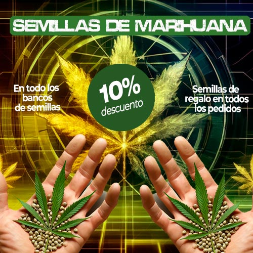 semillas de marihuana descuento