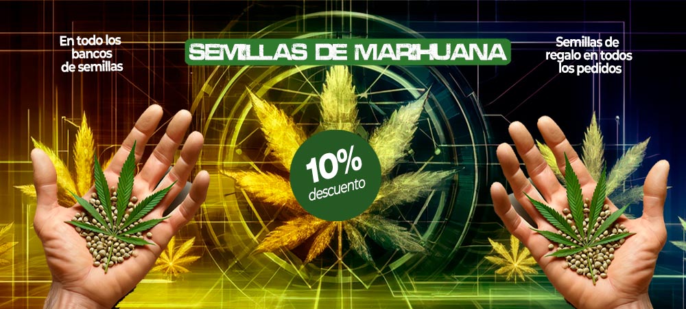 semillas de marihuana descuento