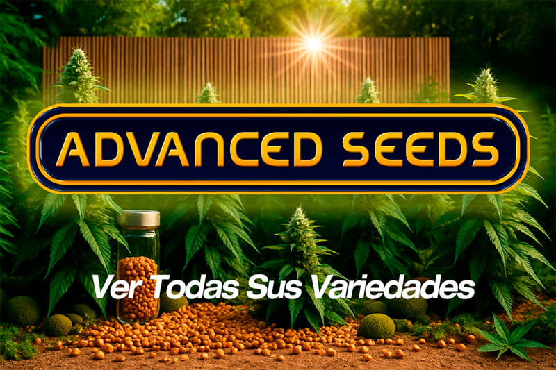 Semillas Advanced Seeds - Genéticas ecológicas y potentes para cultivo profesional
