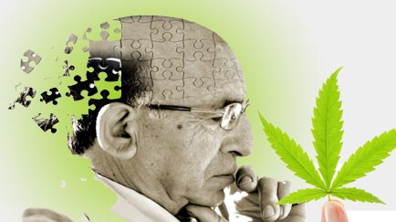 Marihuana y Alzhéimer. Beneficios frente a enfermedades neurodegenerativas