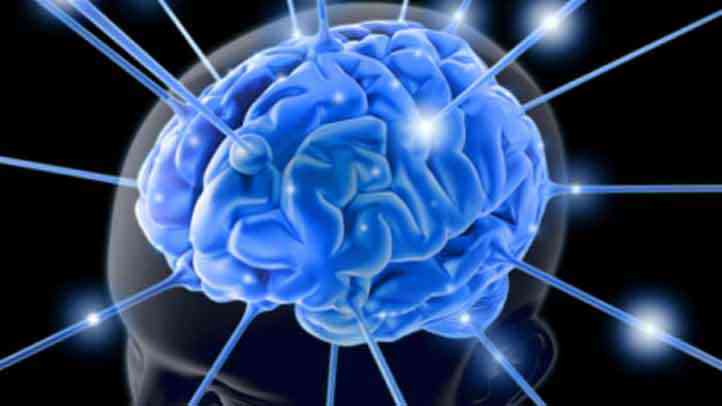 Tejido cerebral sano sin alzheimer