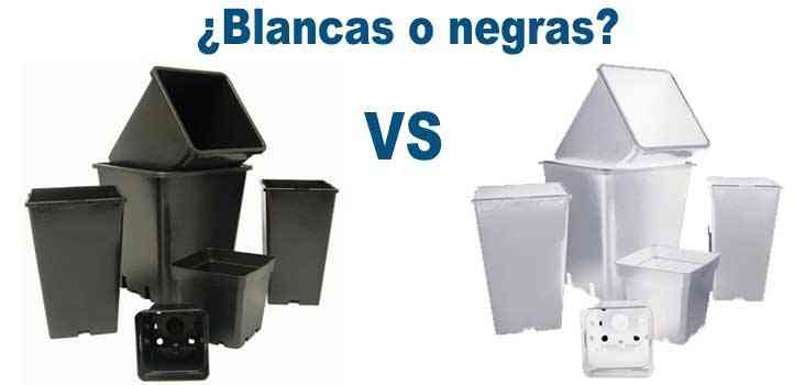 Macetas blancas o negras para la marihuana