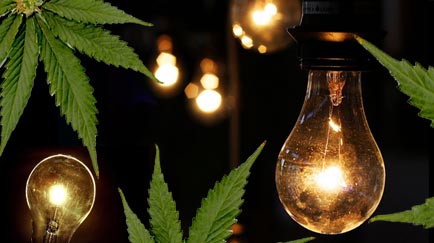 Luz artificial para plantas de marihuana