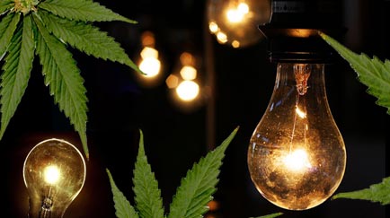 luz artificial para plantas de marihuana