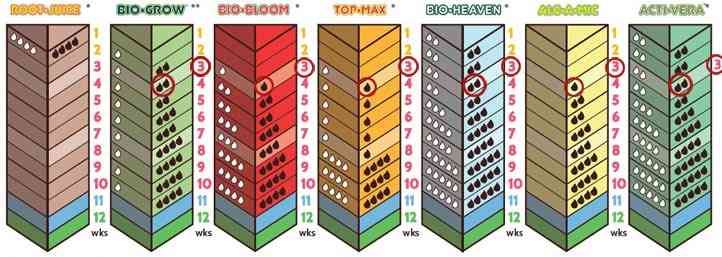 Semana 3 con Light Mix en la Tabla de Biobizz