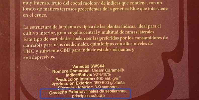 fecha de corte de la marihuana segun fabricante