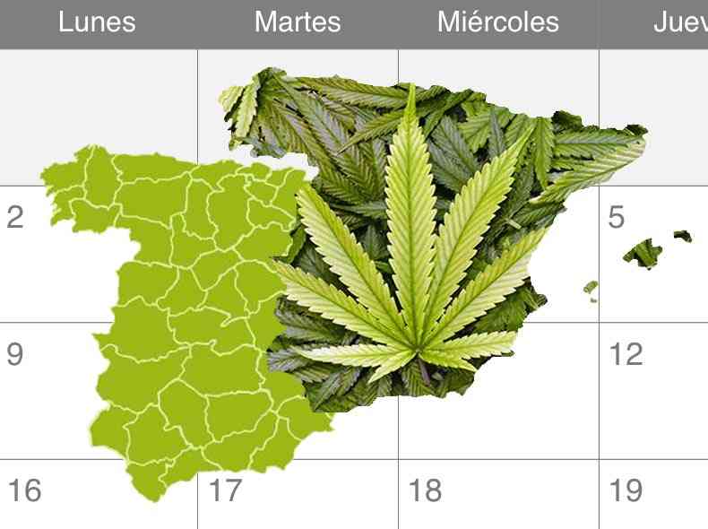 cuando empezar un cultivo de exterior