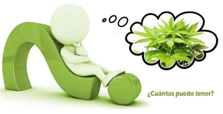 cuantas plantas de maría puedo tener legalmente