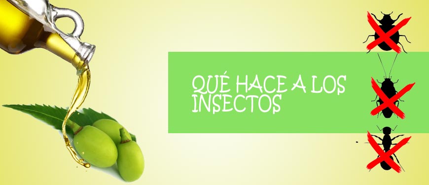 como acuta en los insectos el aceite de neem