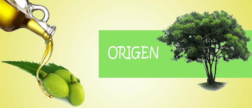 origen del aceite de neem