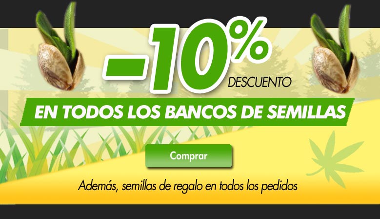 semillas de marihuana