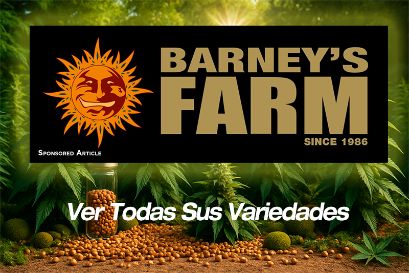 Semillas Barney’s Farm - Genéticas legendarias y exóticas con premios internacionales