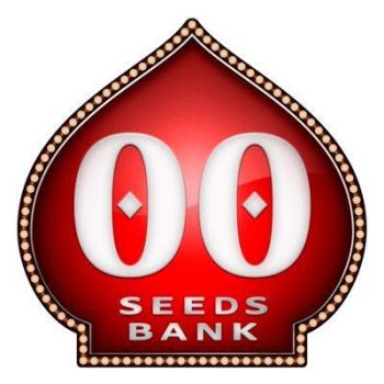 00 Seeds Auto