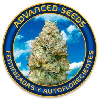 Advanced Seeds Auto