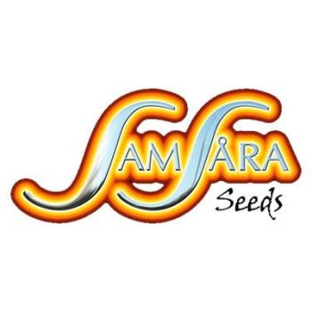 Samsara Seeds Auto