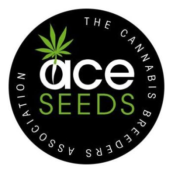 Ace Seeds Regulares 