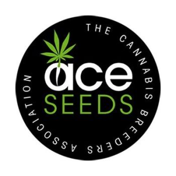 ACE Seeds Auto
